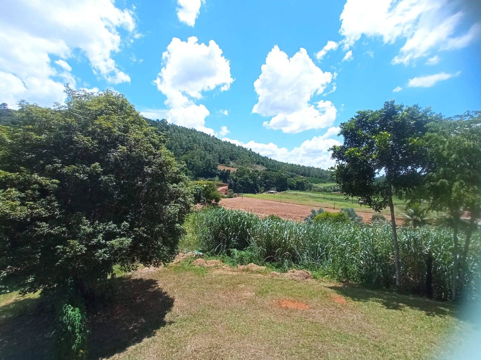 Chácara à venda, ZONA RURAL, Rio Pomba, MG - foto 37