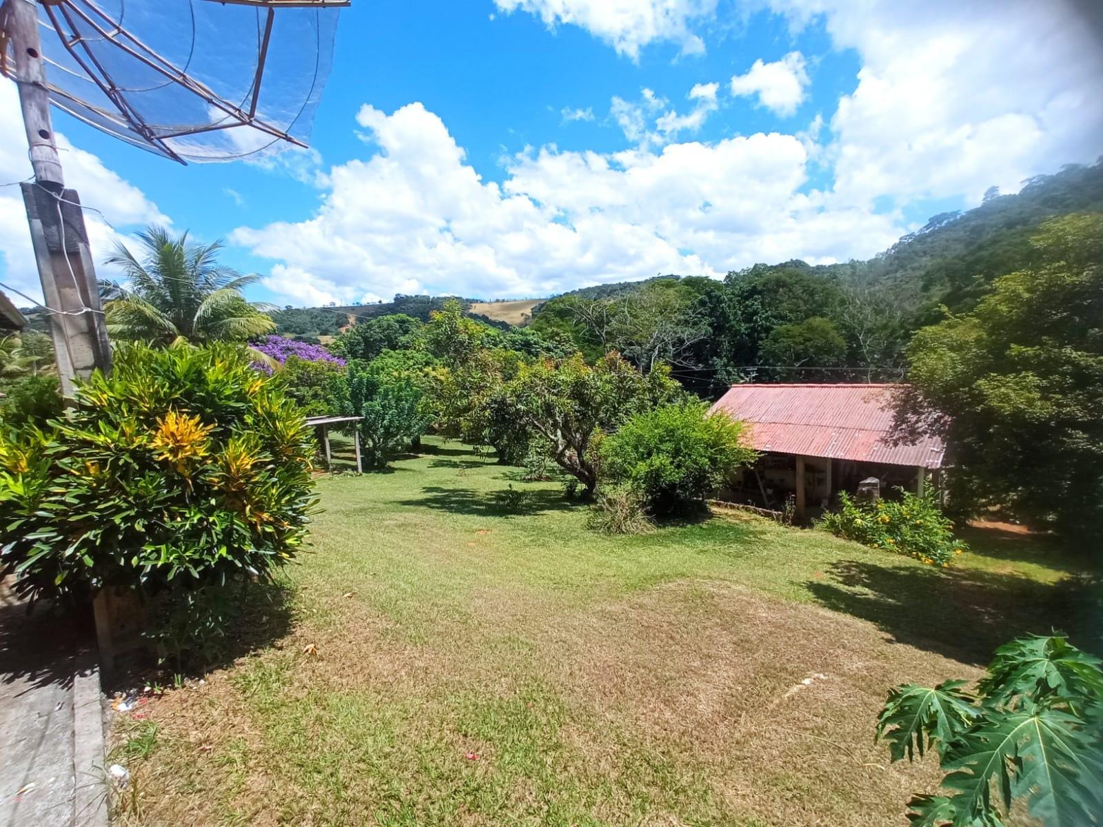 Chácara à venda, ZONA RURAL, Rio Pomba, MG - foto 38