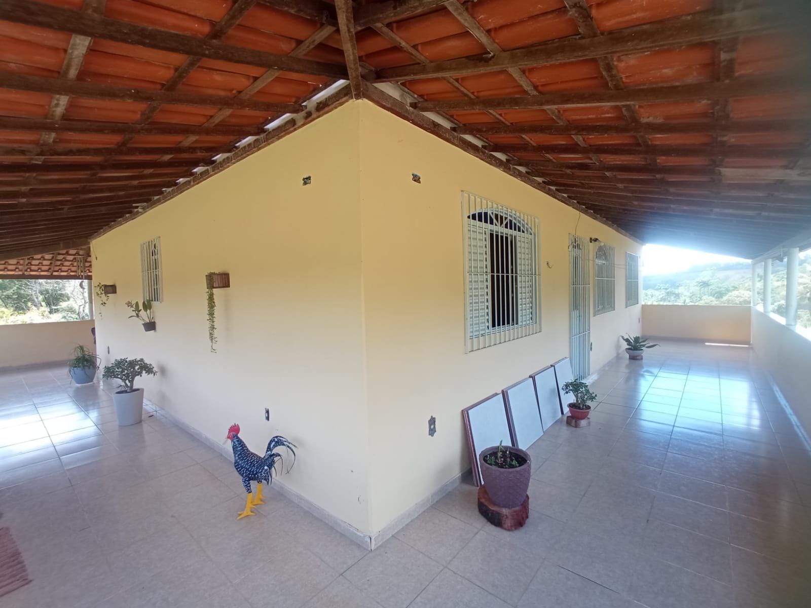 Chácara à venda, ZONA RURAL, Rio Pomba, MG - foto 39