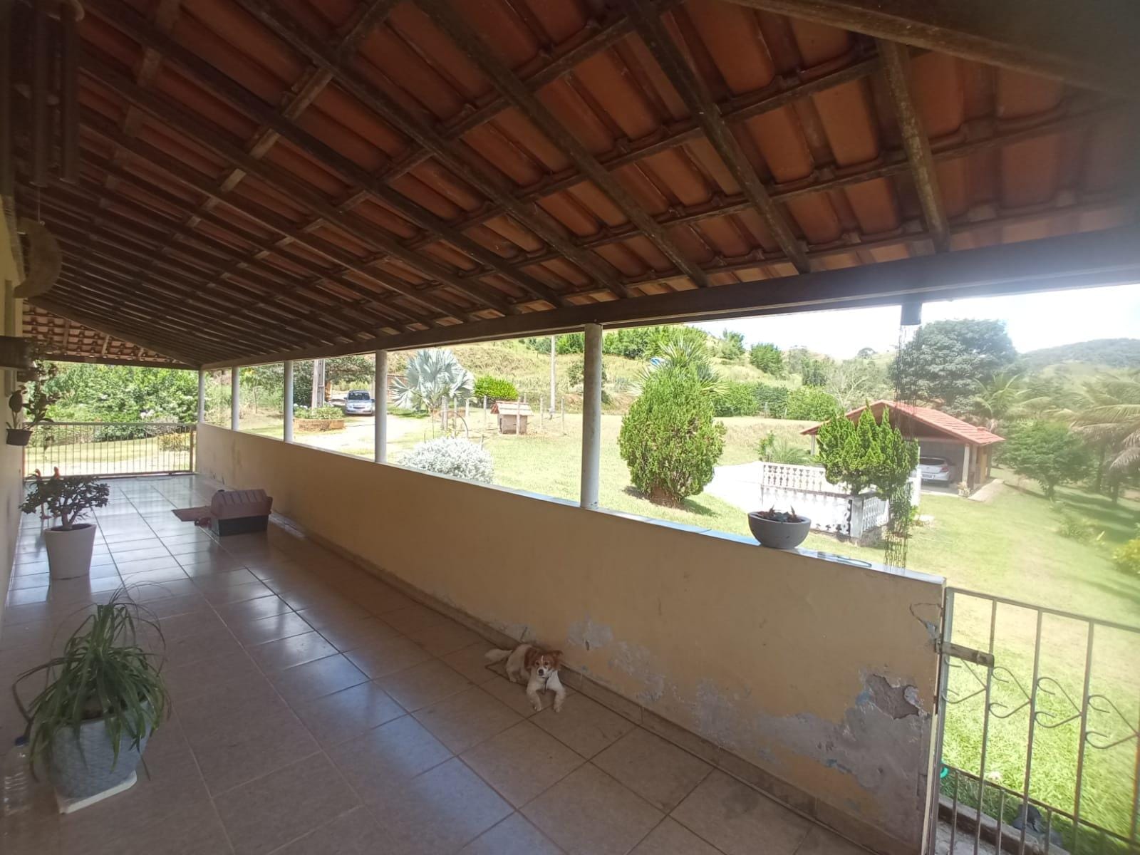 Chácara à venda, ZONA RURAL, Rio Pomba, MG - foto 42