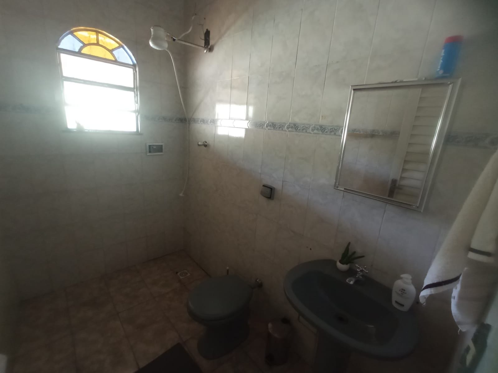 Chácara à venda, ZONA RURAL, Rio Pomba, MG - foto 52