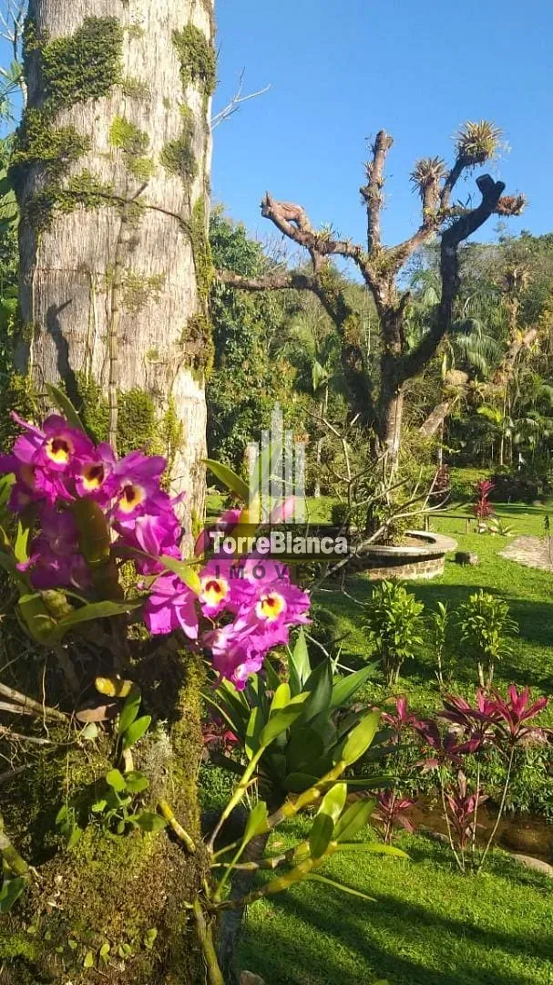 Chácara, 10 quartos, 6000 m² - Foto 37