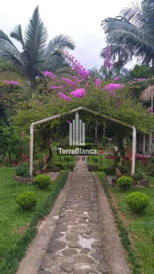 Chácara, 10 quartos, 6000 m² - Foto 3
