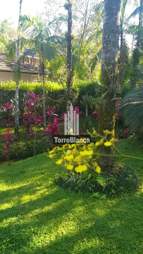 Chácara, 10 quartos, 6000 m² - Foto 42