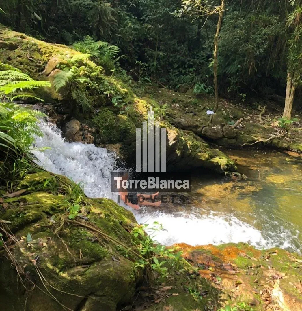 Chácara, 10 quartos, 6000 m² - Foto 51