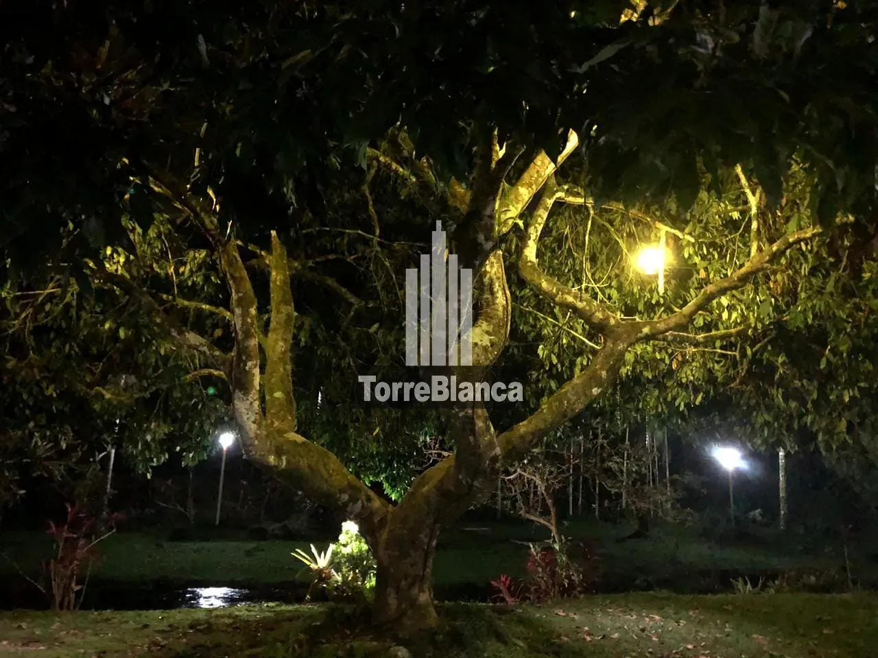 Chácara, 10 quartos, 6000 m² - Foto 40