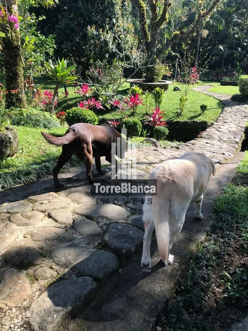 Chácara, 10 quartos, 6000 m² - Foto 35