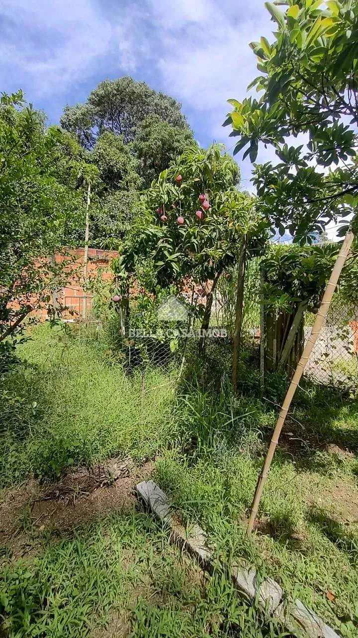 Chácara, 1 quarto, 1000 m² - Foto 13