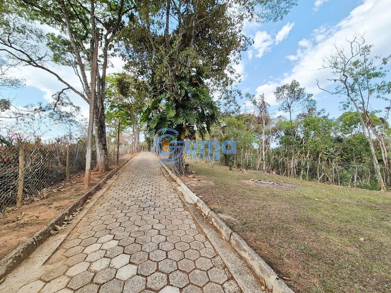 Chácara, 4 quartos, 8000 m² - Foto 48