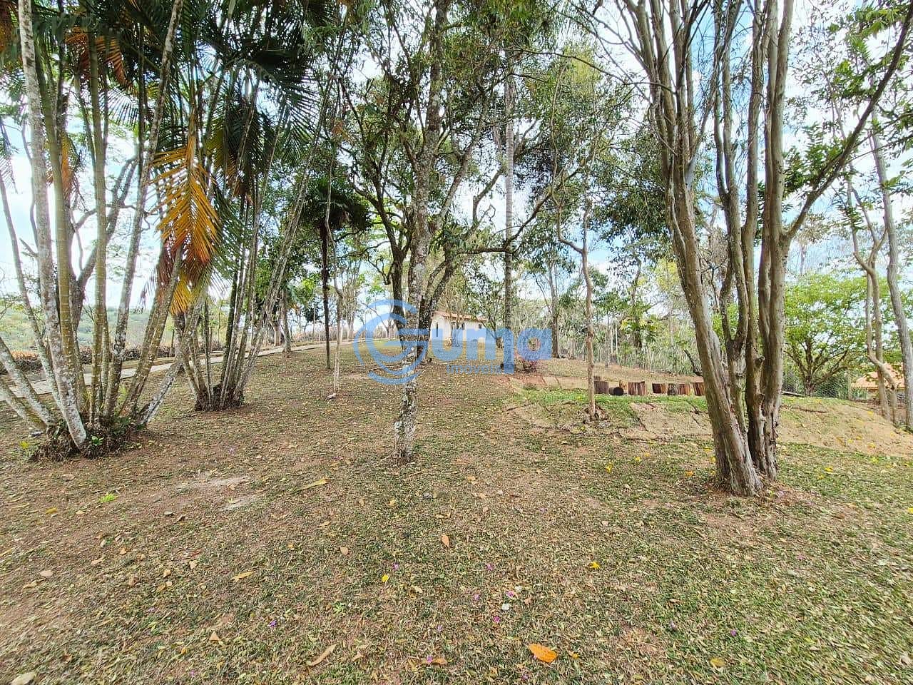 Chácara, 4 quartos, 8000 m² - Foto 41