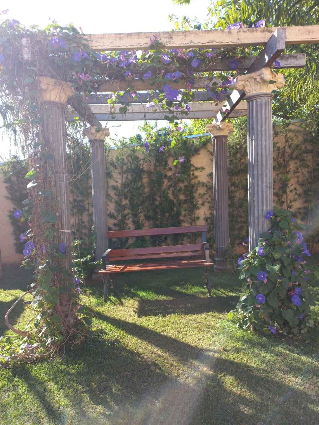 Chácara, 2 quartos, 1036 m² - Foto 53