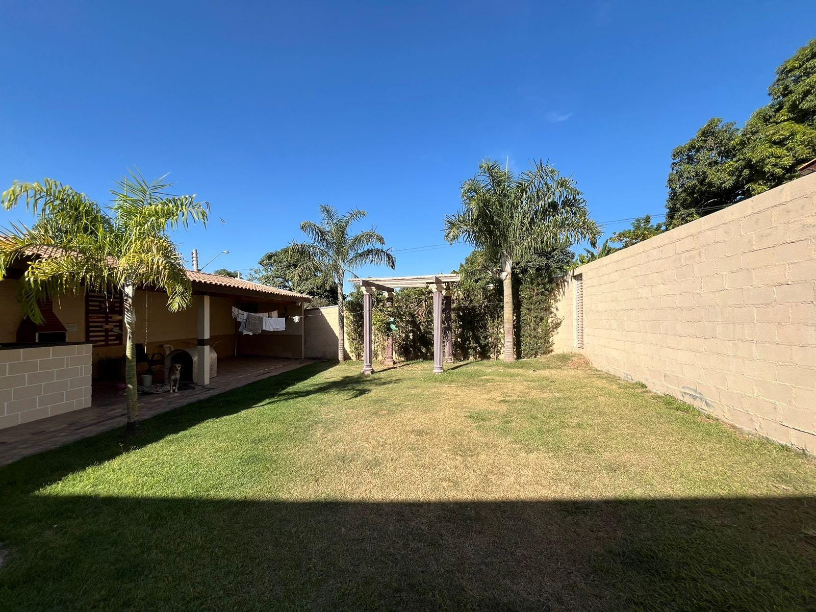 Chácara, 2 quartos, 1036 m² - Foto 21