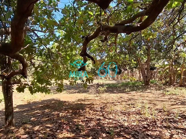 Chácara com 6553m² 5 quartos e 7 banheiros, à venda, no bairro Vila Jardim São Judas Tadeu em Goiânia