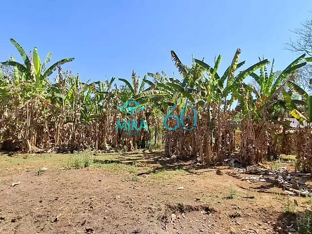 Chácara com 6553m² 5 quartos e 7 banheiros, à venda, no bairro Vila Jardim São Judas Tadeu em Goiânia