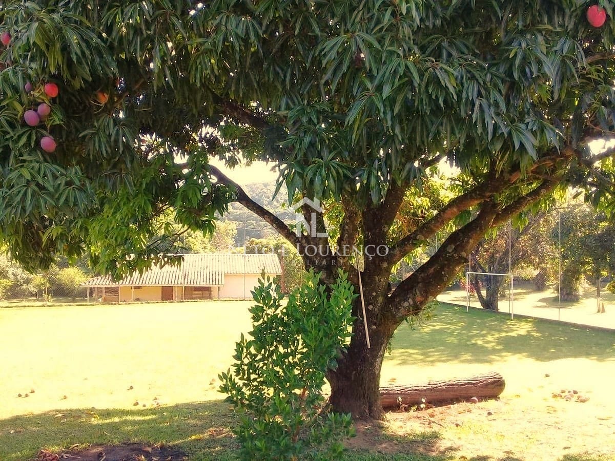 Chácara, 4 quartos, 5120 m² - Foto 34