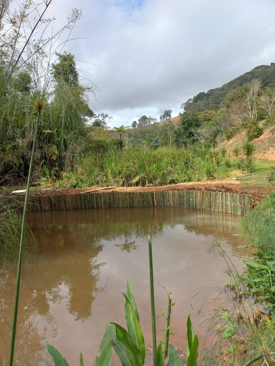 Chácara à venda, Zona Rural Vogados, Rio Pomba, MG - foto 4