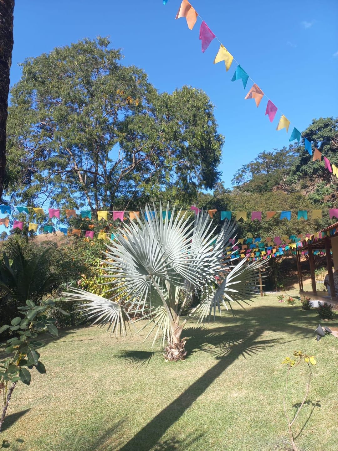 Chácara à venda, Zona Rural Vogados, Rio Pomba, MG - foto 5
