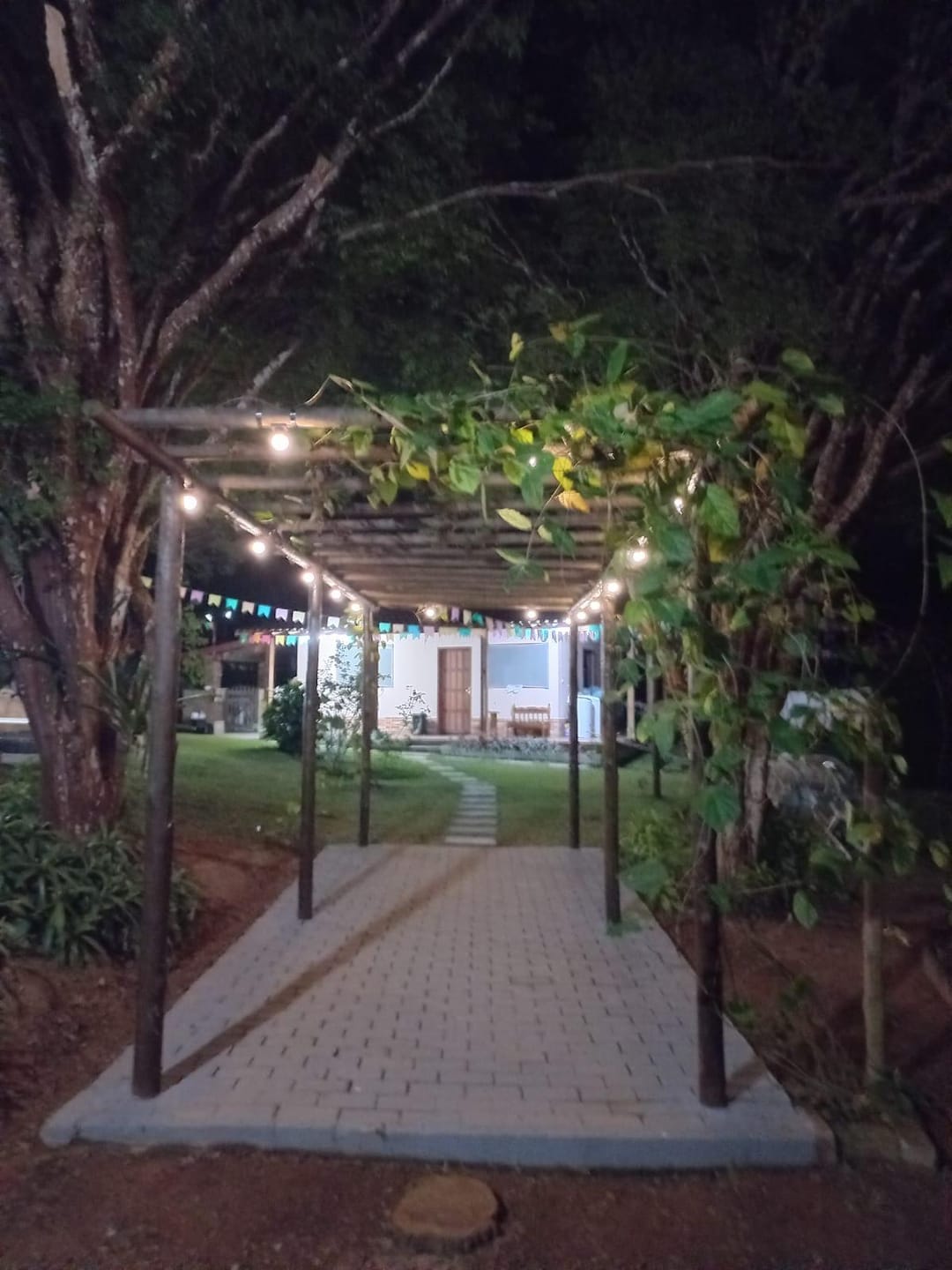 Chácara à venda, Zona Rural Vogados, Rio Pomba, MG - foto 6