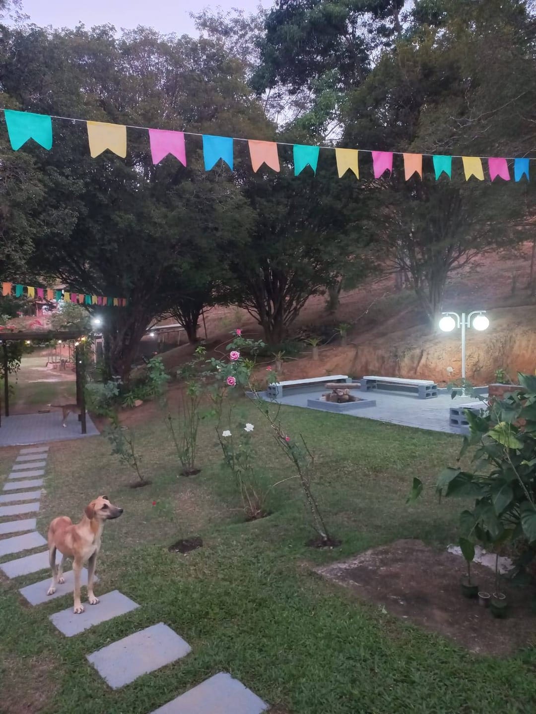 Chácara à venda, Zona Rural Vogados, Rio Pomba, MG - foto 7