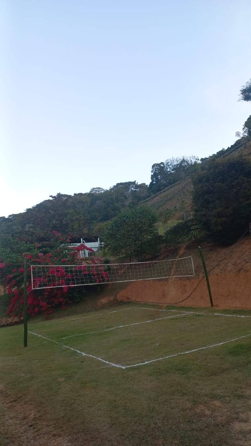 Chácara à venda, Zona Rural Vogados, Rio Pomba, MG - foto 9