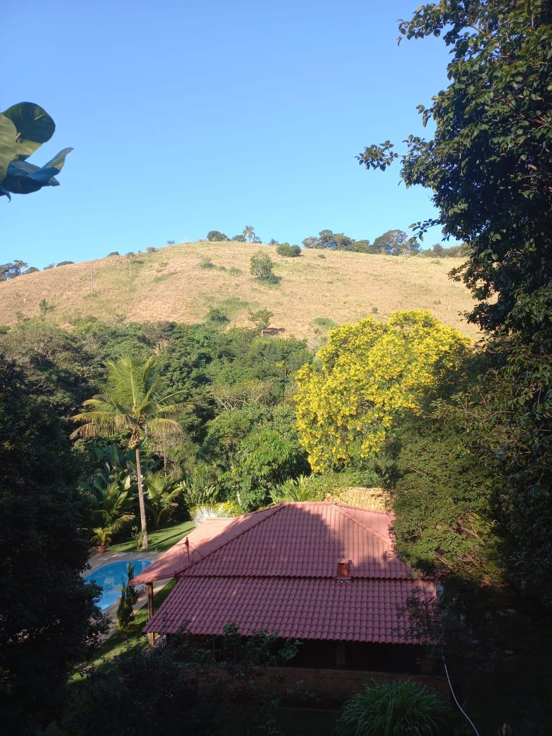 Chácara à venda, Zona Rural Vogados, Rio Pomba, MG - foto 10