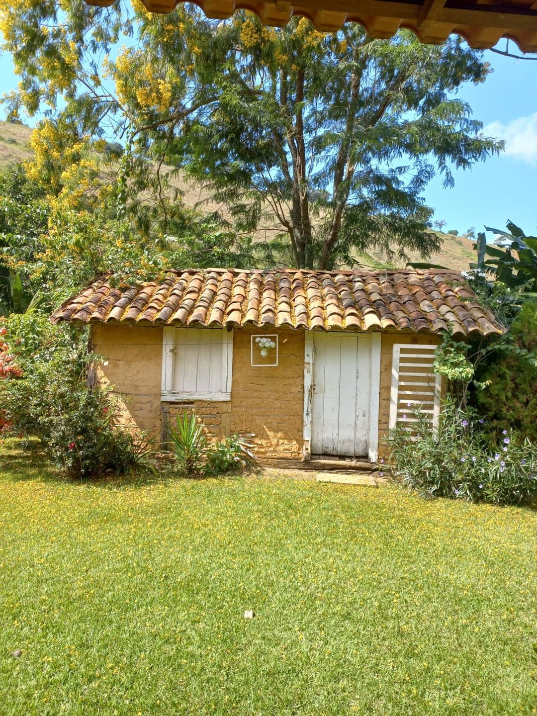 Chácara à venda, Zona Rural Vogados, Rio Pomba, MG - foto 13