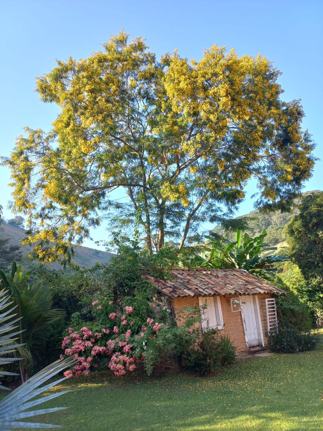 Chácara à venda, Zona Rural Vogados, Rio Pomba, MG - foto 14