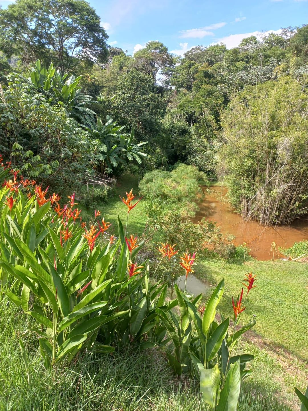 Chácara à venda, Zona Rural Vogados, Rio Pomba, MG - foto 15