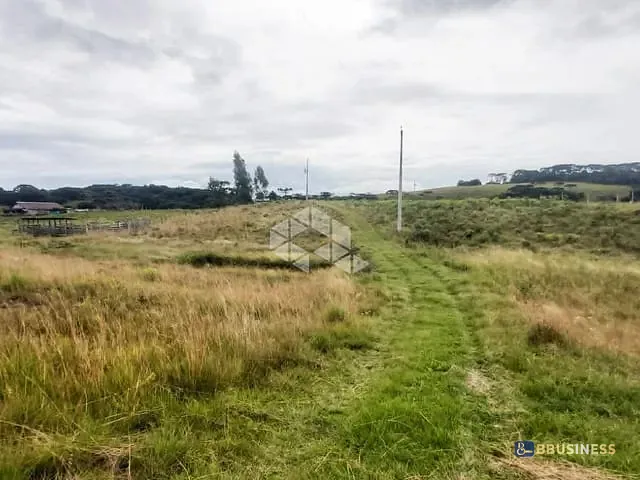 Chácara com 20000m² 5 quartos e 1 banheiro, à venda, no bairro Centro em Criúva