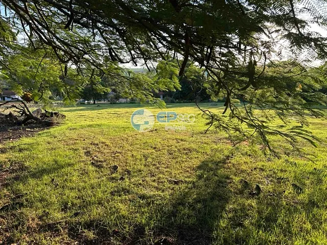 Chácara com 20000m² 4 quartos e 4 banheiros, à venda, no bairro Jardim Nobre em Rolândia