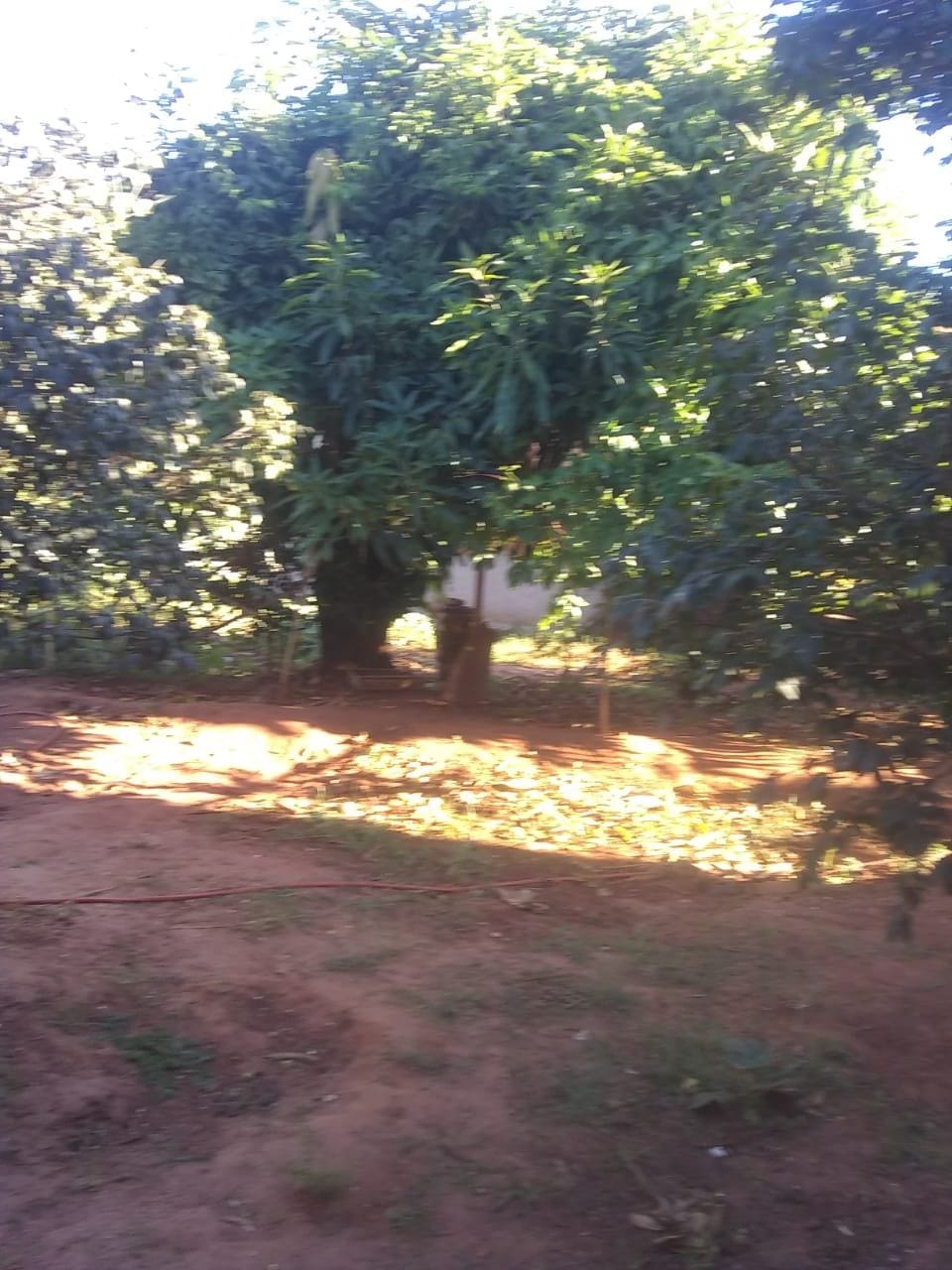 Chácara à venda com 2 quartos, 150m² - Foto 1