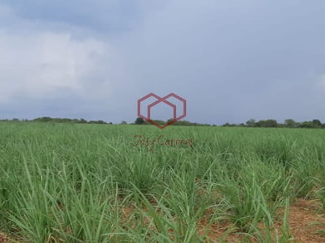Chácara com 1726880m² 1 quarto e 1 banheiro, à venda, no bairro Zona Rural em São José Do Rio Claro