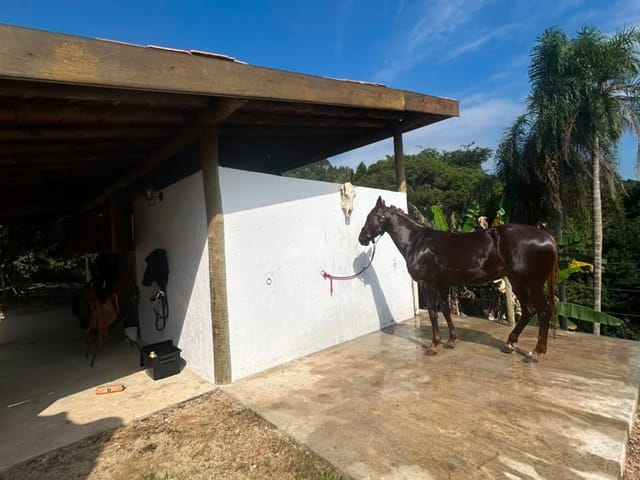 Chácara 4 quartos e 4 banheiros, à venda ou para alugar, no bairro Ponunduva em Cajamar