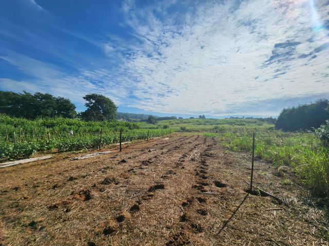 Chácara com 56657m² 2 quartos e 2 banheiros, à venda, no bairro Sitio Capivari em Valinhos