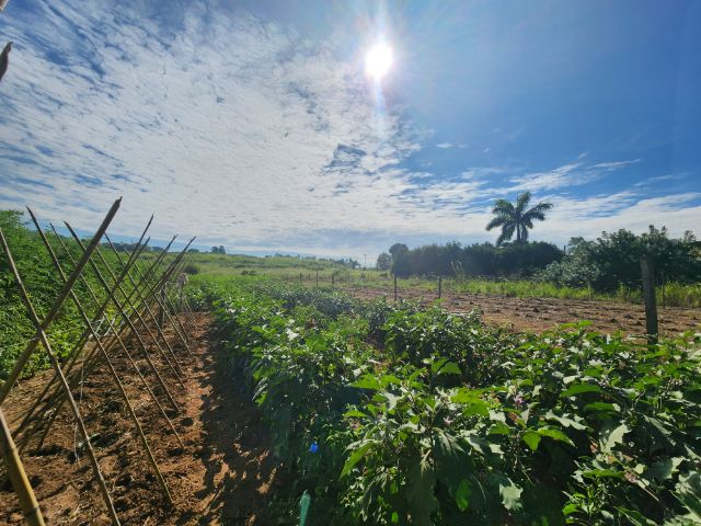 Chácara com 56657m² 2 quartos e 2 banheiros, à venda, no bairro Sitio Capivari em Valinhos