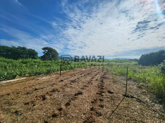 Chácara com 56657m² 2 quartos e 2 banheiros, à venda, no bairro Sitio Capivari em Valinhos