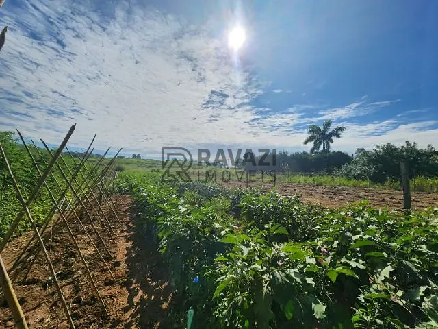 Chácara com 56657m² 2 quartos e 2 banheiros, à venda, no bairro Sitio Capivari em Valinhos