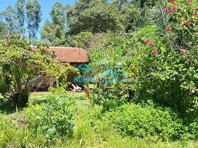 Chácara com 11500m² 3 quartos e 3 banheiros, à venda, no bairro Estância Vargem Bonita em Senador Canedo