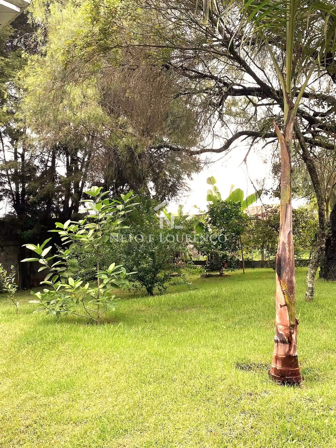 Chácara, 6 quartos, 3000 m² - Foto 11