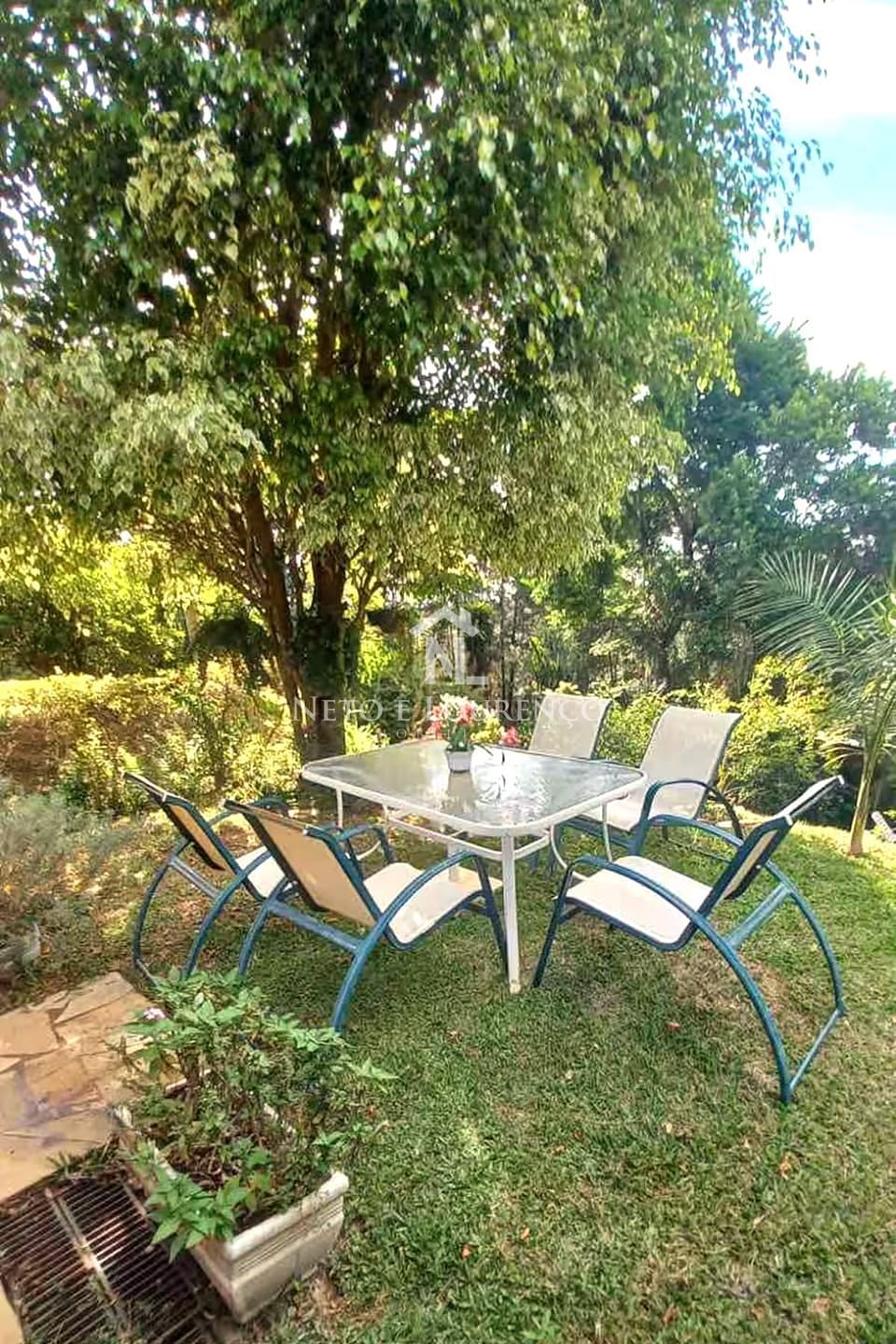 Chácara, 6 quartos, 3000 m² - Foto 10