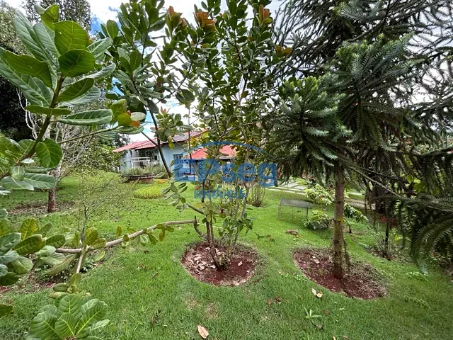 Chácara com 2482m² 4 quartos e 4 banheiros, à venda, no bairro Estância Cabral em Cambé
