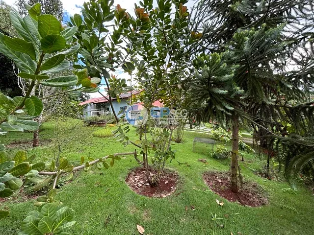 Chácara com 2482m² 4 quartos e 4 banheiros, à venda, no bairro Estância Cabral em Cambé