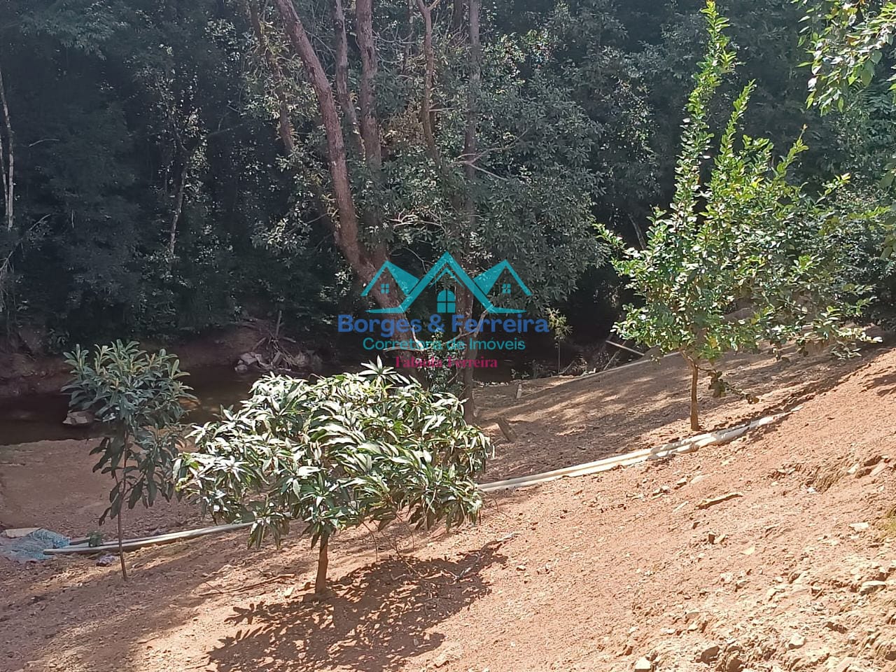 Chácara, 5 quartos, 1780 m² - Foto 56