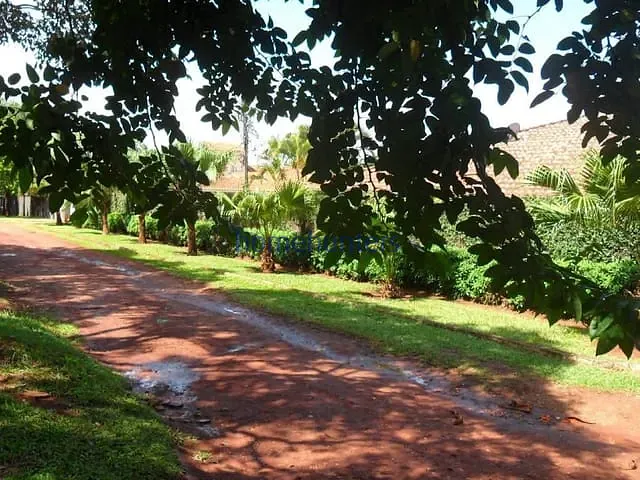 Chácara com 2099m² 3 quartos e 5 banheiros, à venda, no bairro Parque São Quirino em Campinas