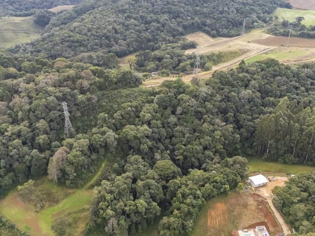 Sítio à venda, no bairro Campo Magro em Campo Magro