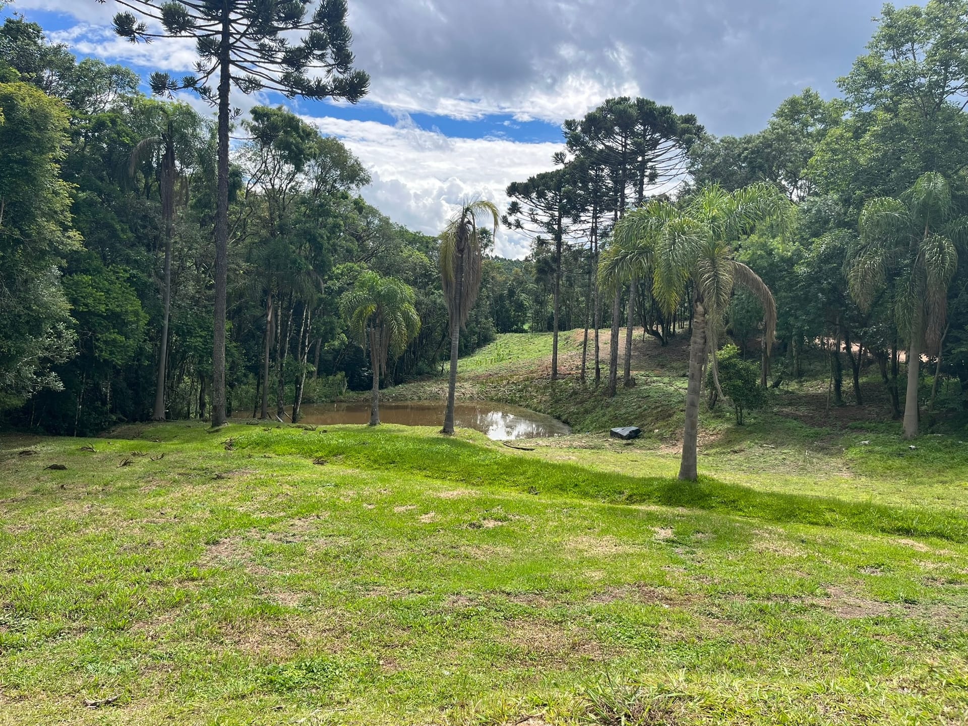 Chácara, 3 quartos, 3 hectares - Foto 49