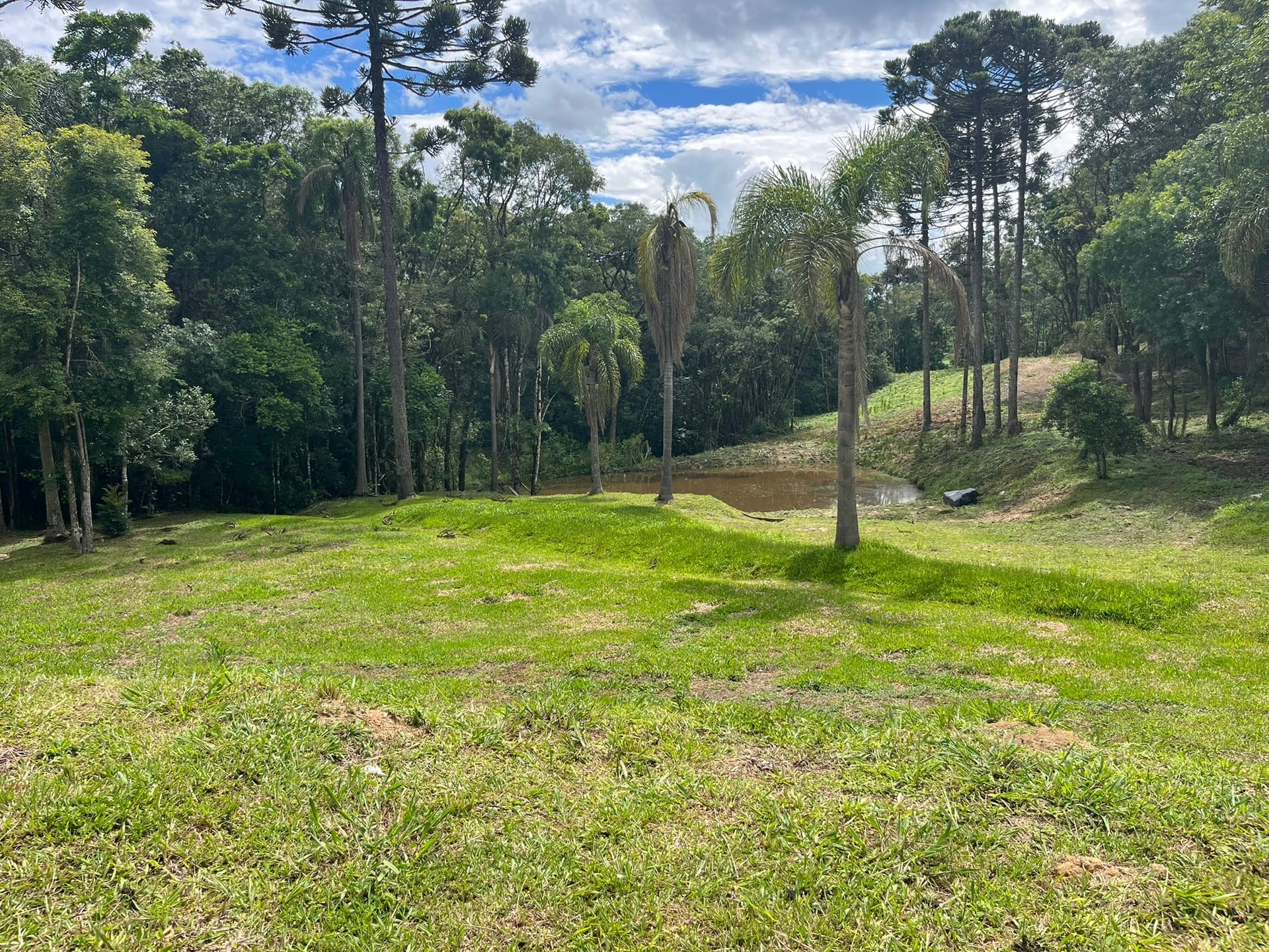 Chácara, 3 quartos, 3 hectares - Foto 65