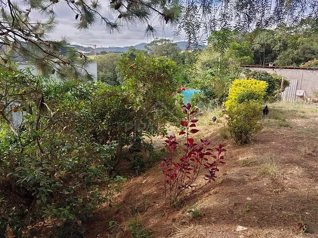 Chácara com 4000m² 1 quarto e 2 banheiros, à venda, no bairro CONDOMINIO SABIA em Caldas