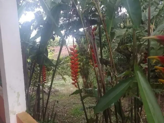 Foto do Chácara - Chácara à venda, Boa Vista, Salto de Pirapora, SP ÁREA DE 2.321 - CASA PRINCIPAL 140 M / com EDICULA COM BANHEIRO ( Hospede ) | Mix Nascimento