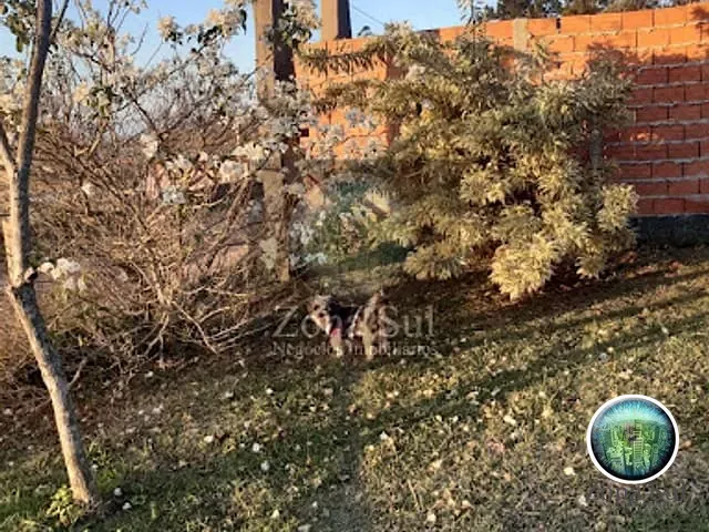 Chácara com 100m² 2 quartos e 2 banheiros, à venda, no bairro Vila Xavier em Piedade